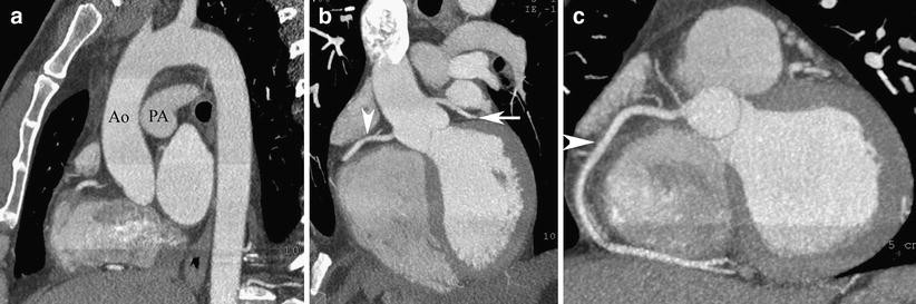 Fig. 7