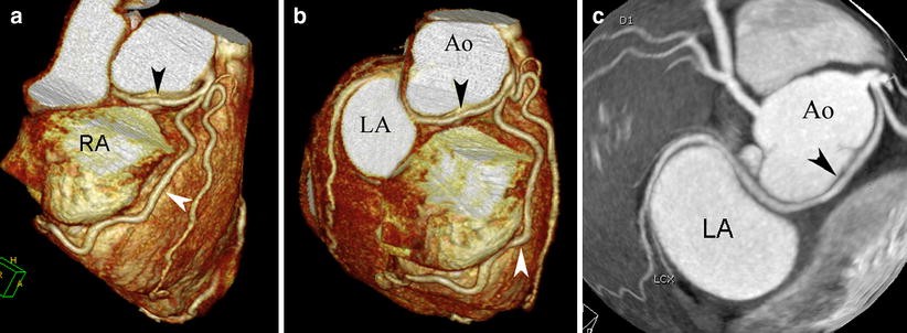 Fig. 9