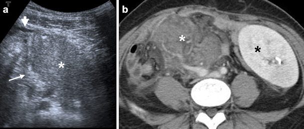 Fig. 7