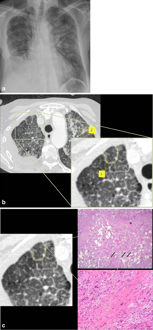 Fig. 8