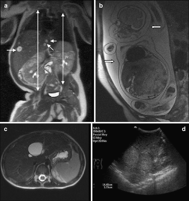 Fig. 6