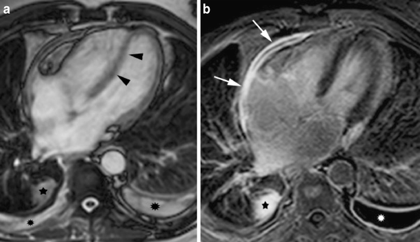 Fig. 9