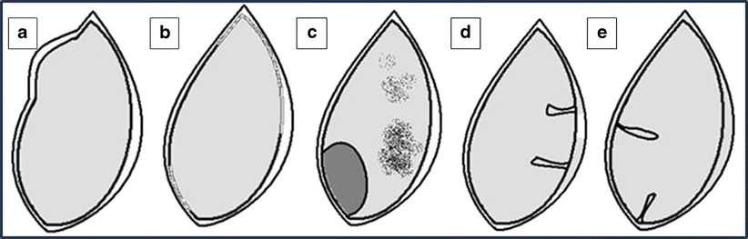 Fig. 14