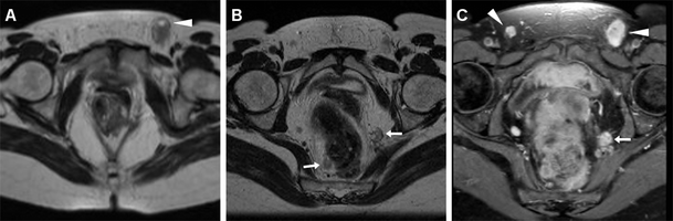 Fig. 7