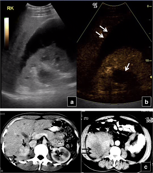 Fig. 8