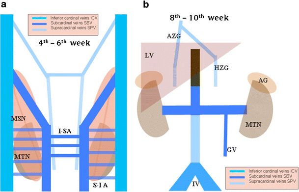 Fig. 13