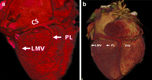 Fig. 19