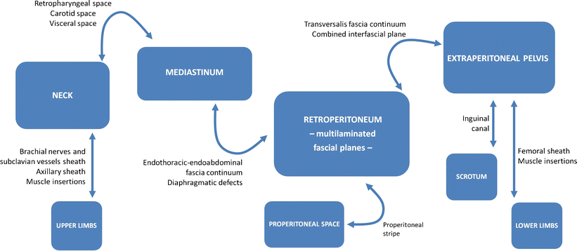 Fig. 16