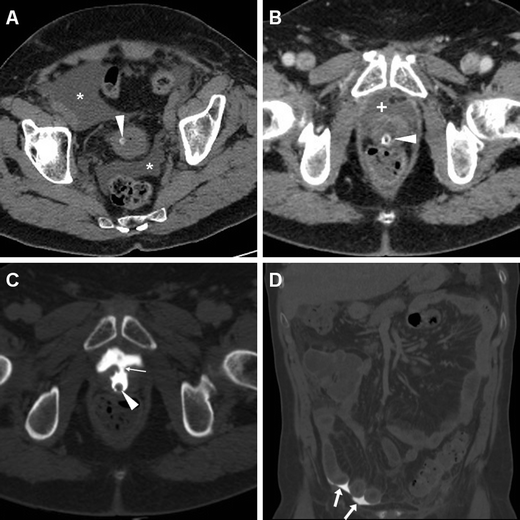 Fig. 8