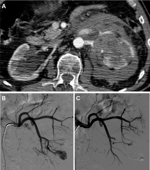 Fig. 8