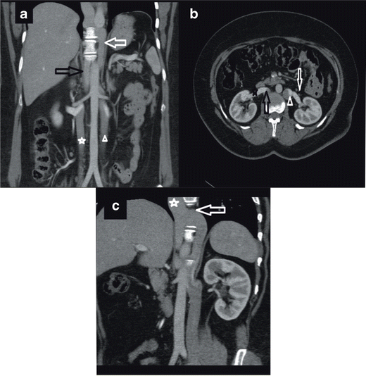 Fig. 9