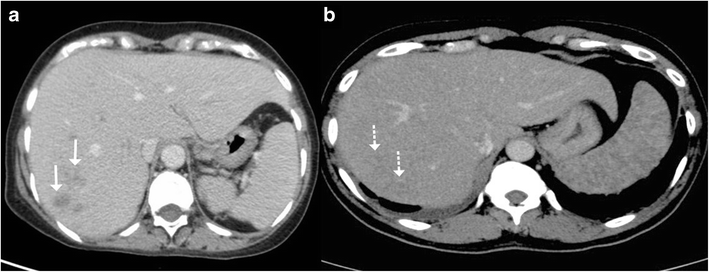 Fig. 5