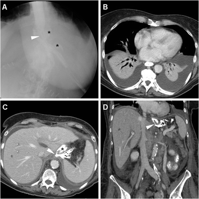 Fig. 8