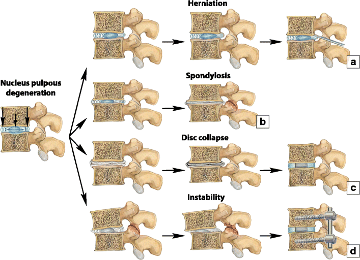 Fig. 24