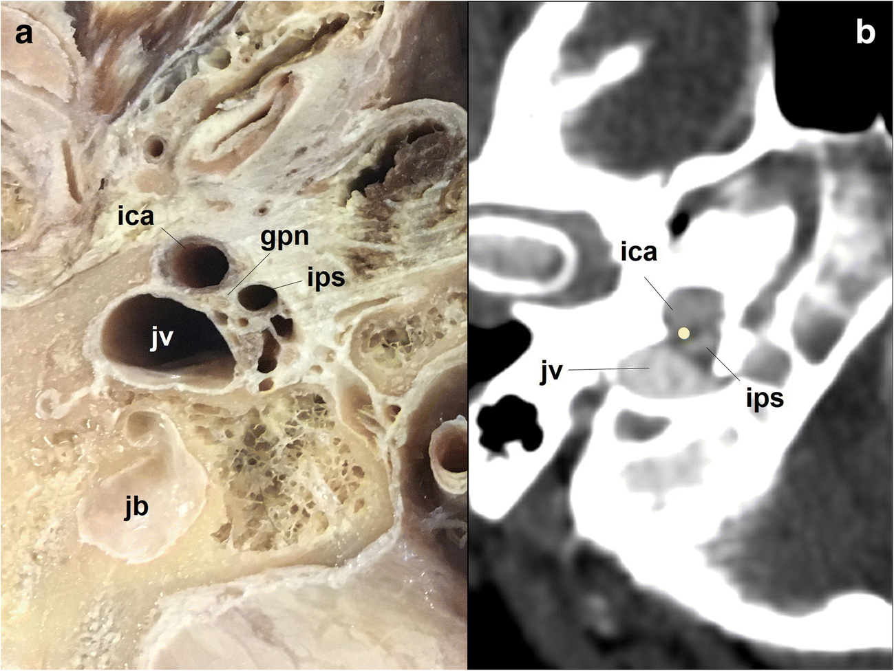 Fig. 5