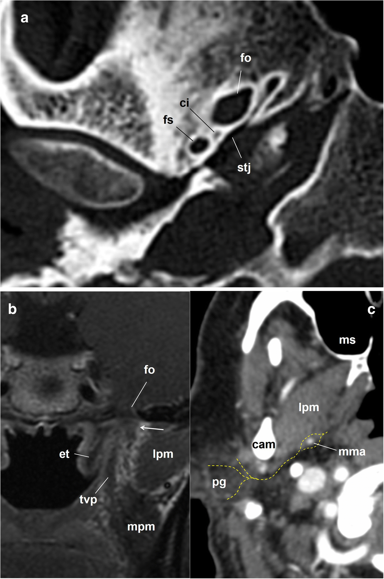 Fig. 7