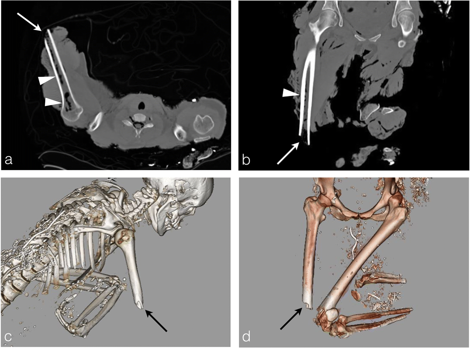 Fig. 19