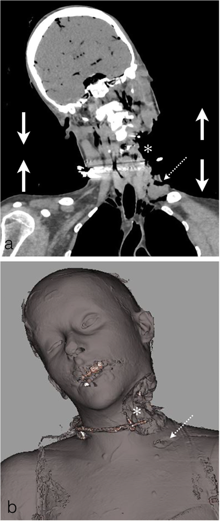 Fig. 8