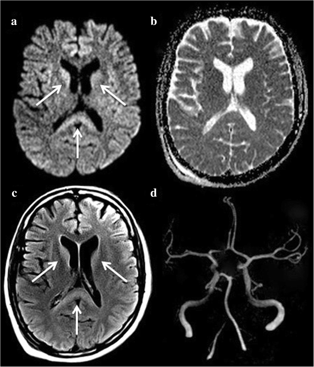 Fig. 5