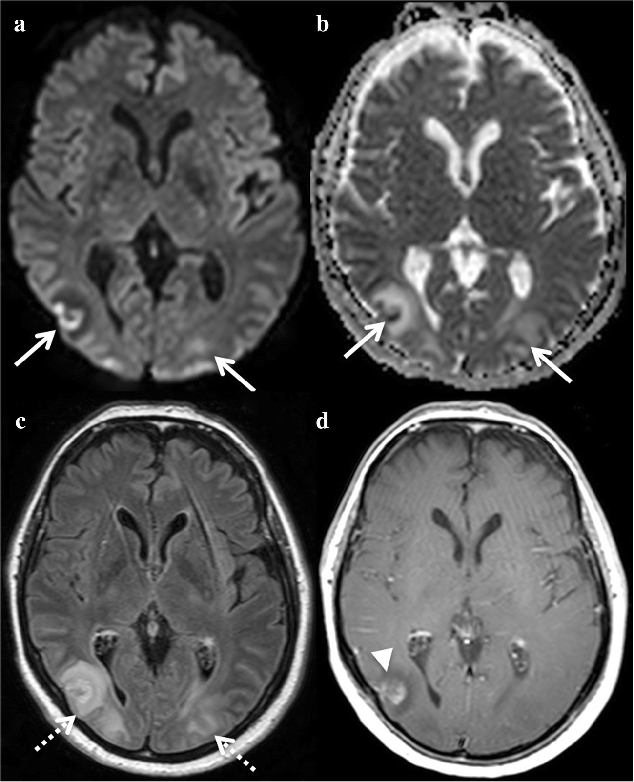 Fig. 7