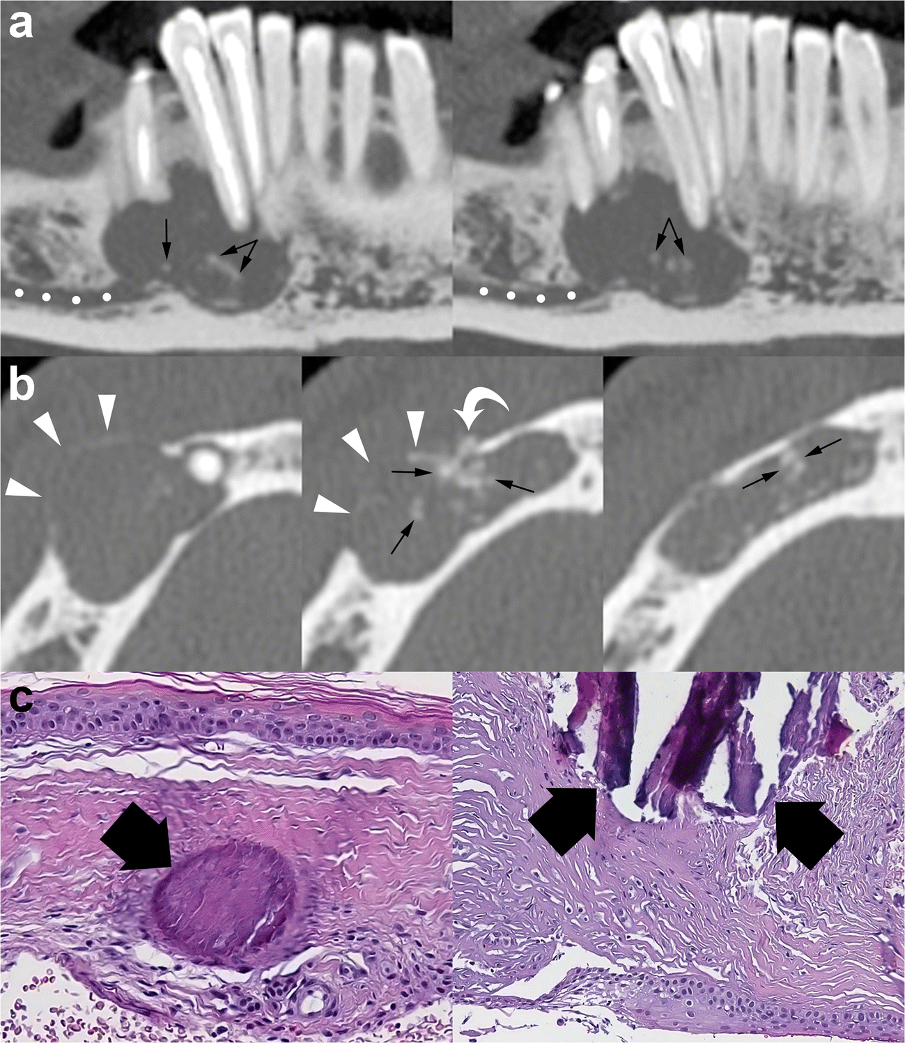 Fig. 13