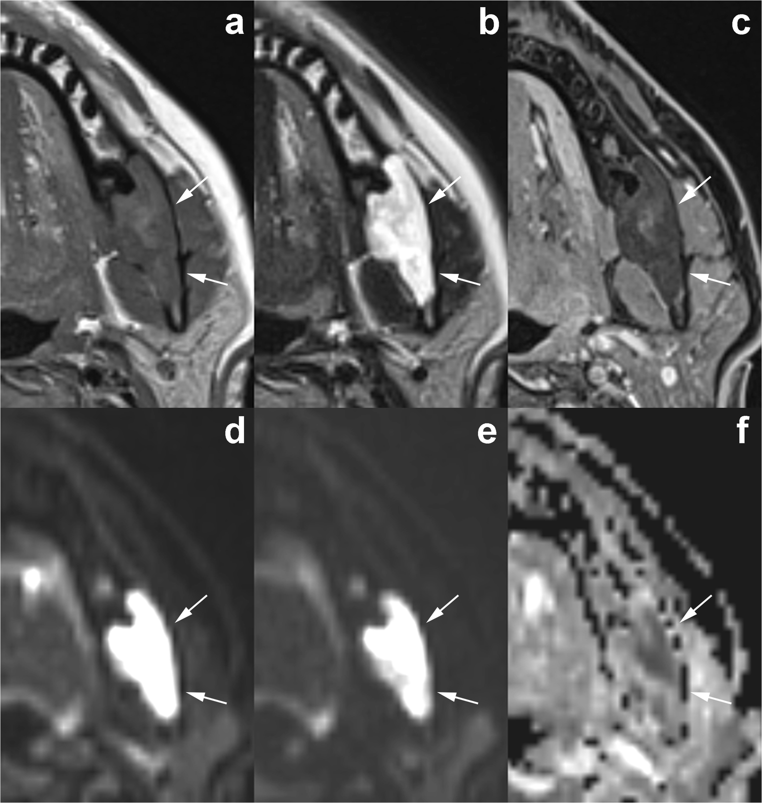 Fig. 15