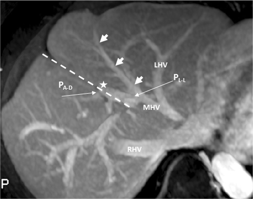 Fig. 5