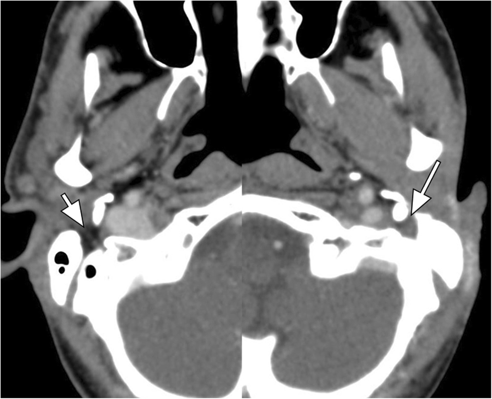 Fig. 8