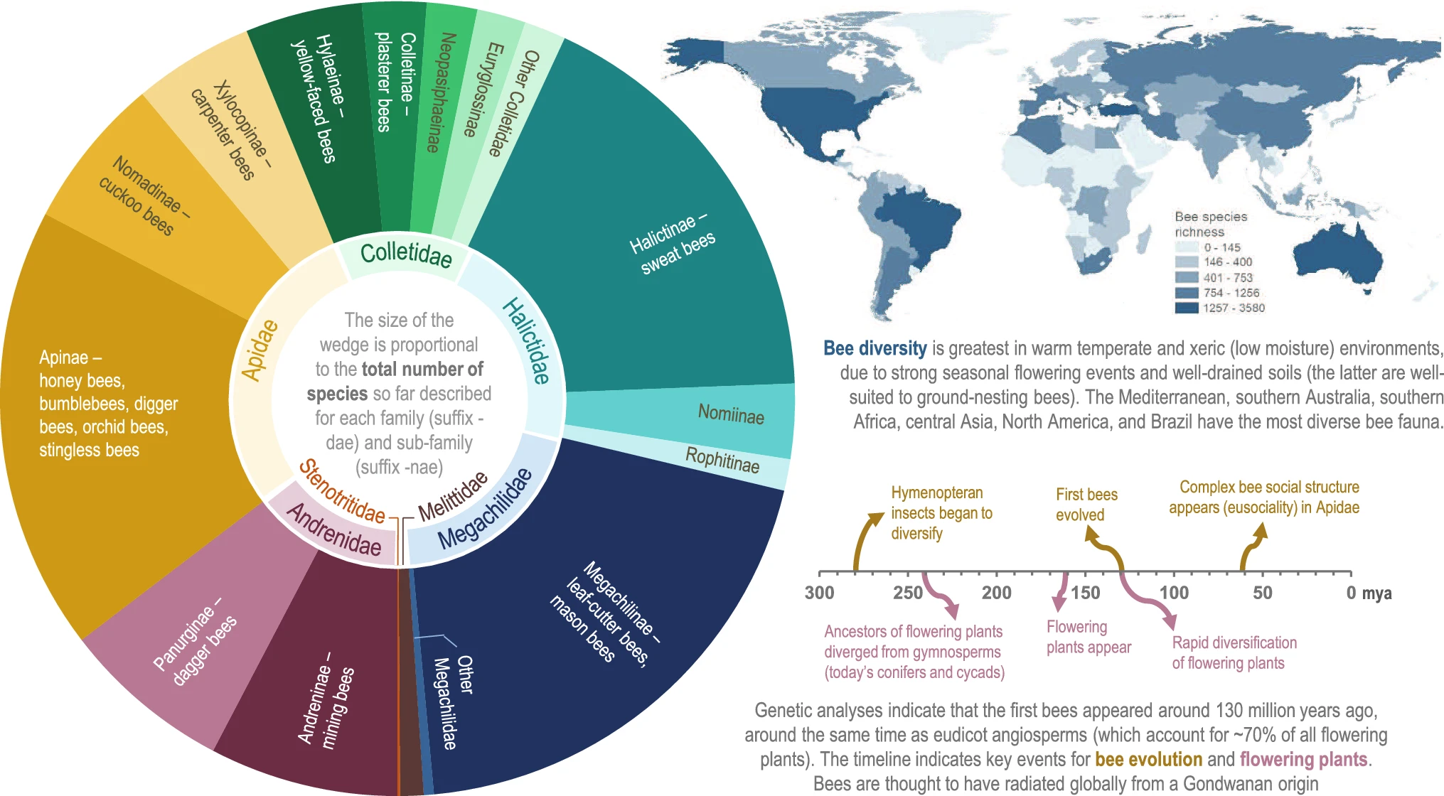 Sustainable Development