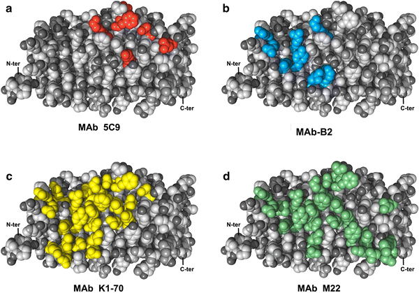 Fig. 4