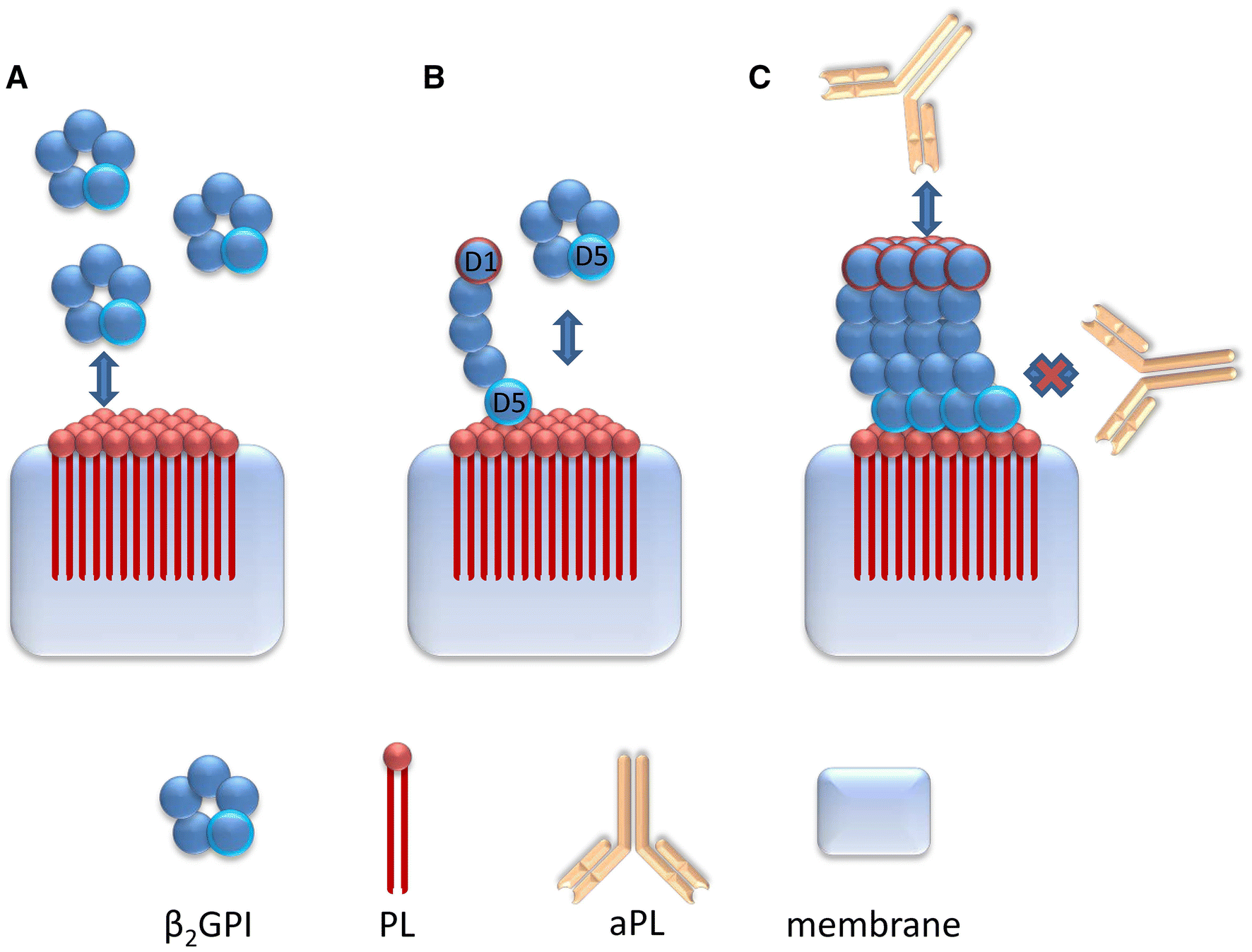 Fig. 1