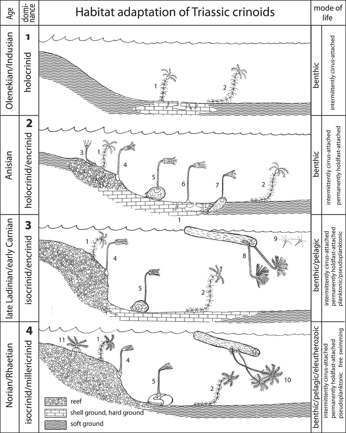 Fig. 11