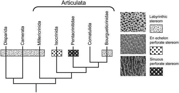 Fig. 5