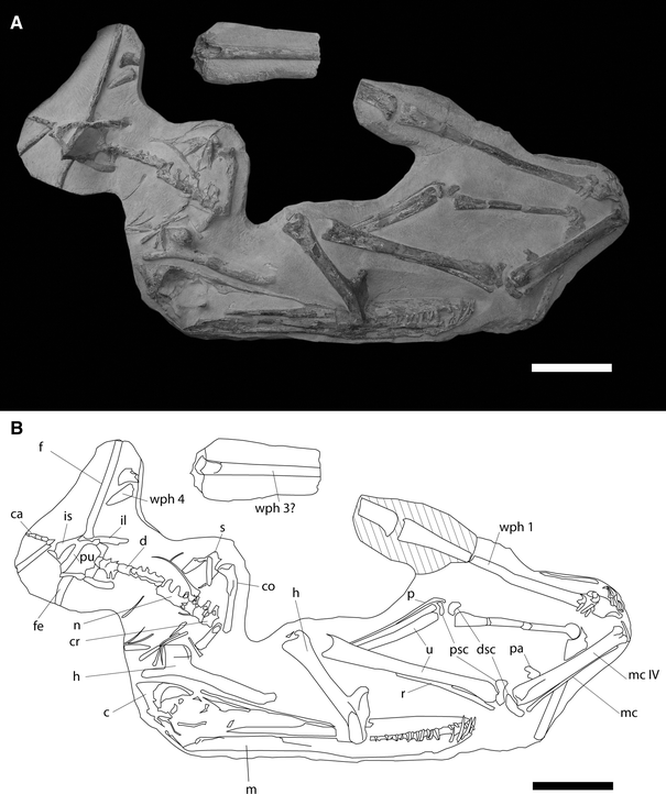 Fig. 1