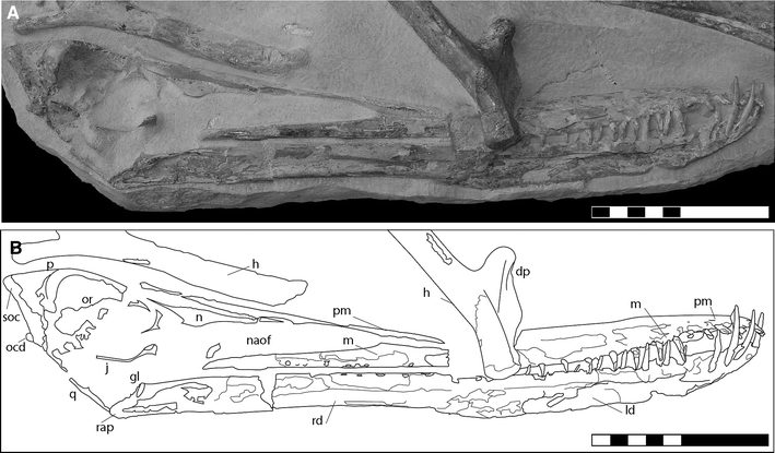 Fig. 2