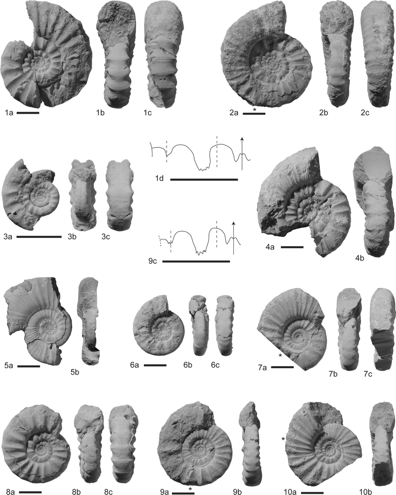 Plate 1