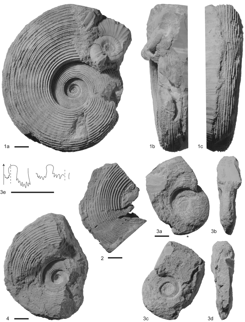 Plate 2