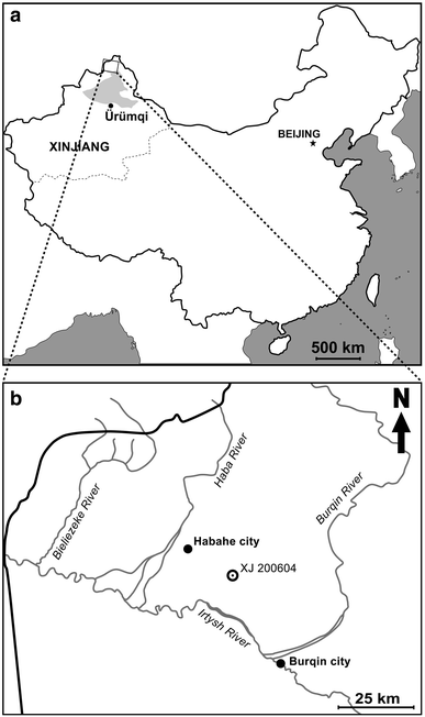 Fig. 1