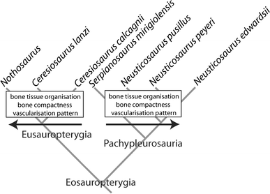 Fig. 5