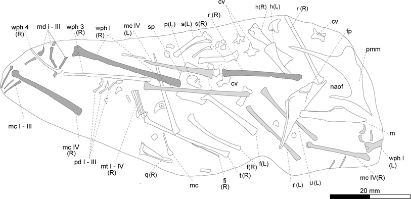 Fig. 1