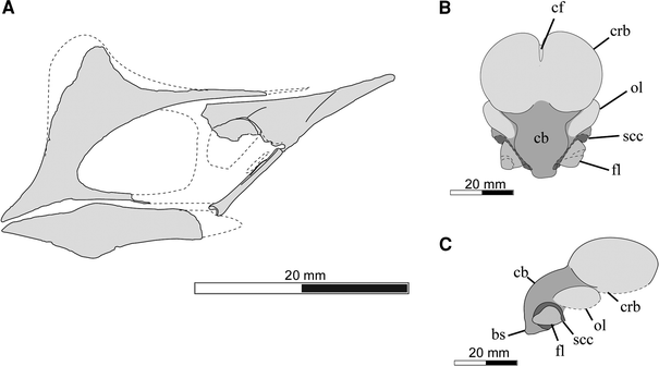 Fig. 3