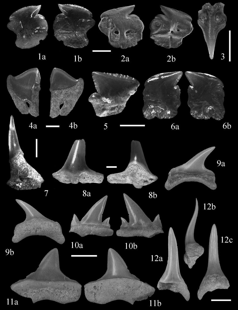 Fig. 2