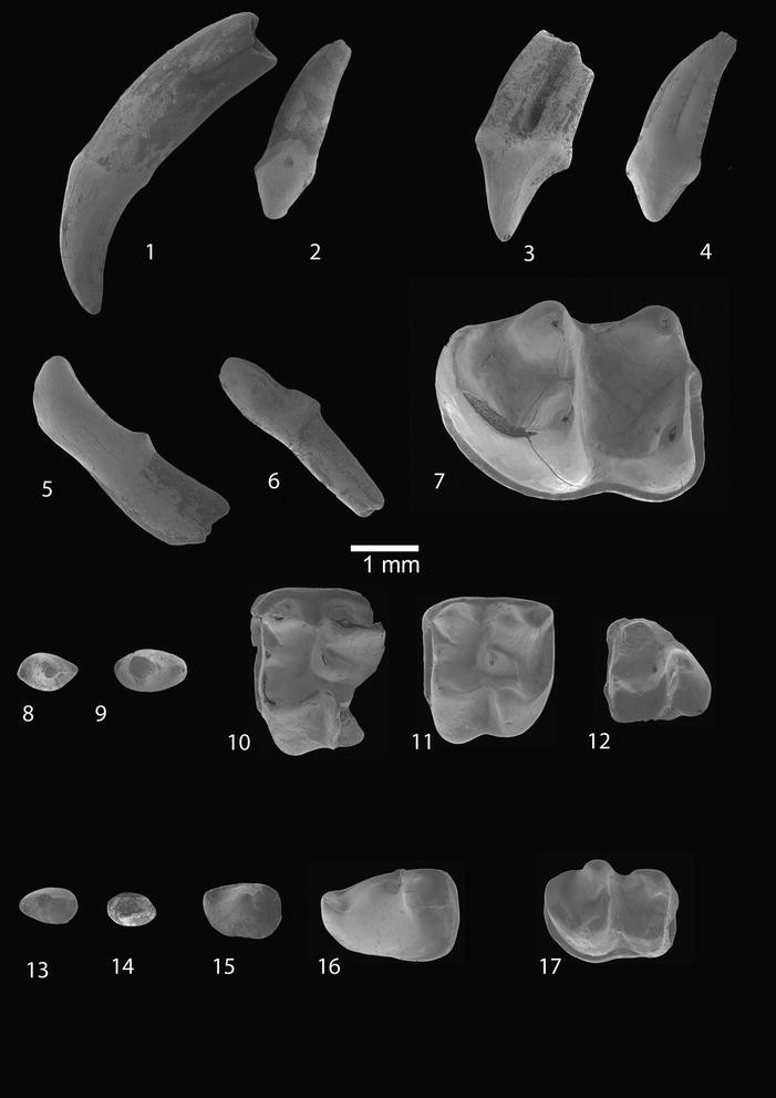 Fig. 3