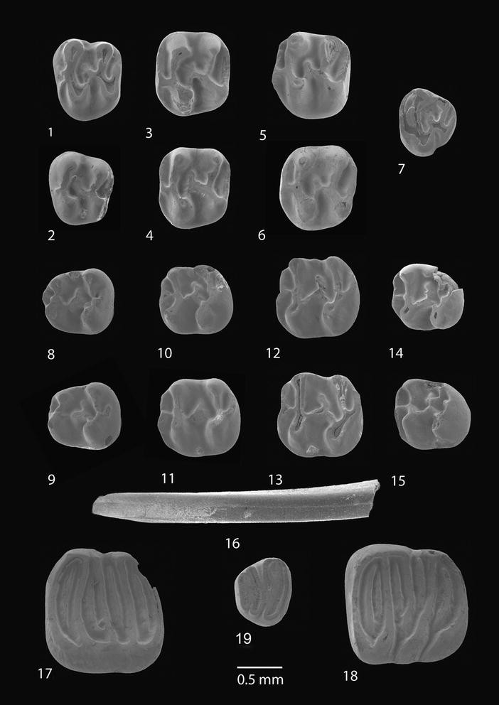 Fig. 4