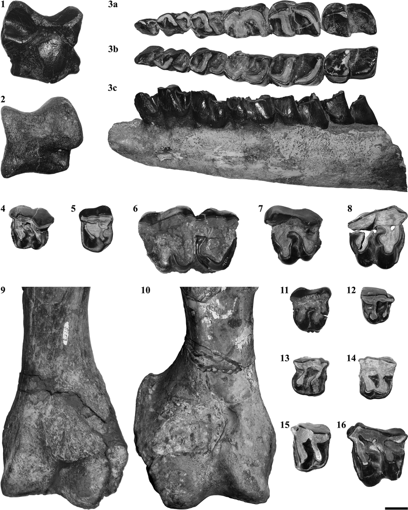 Fig. 3