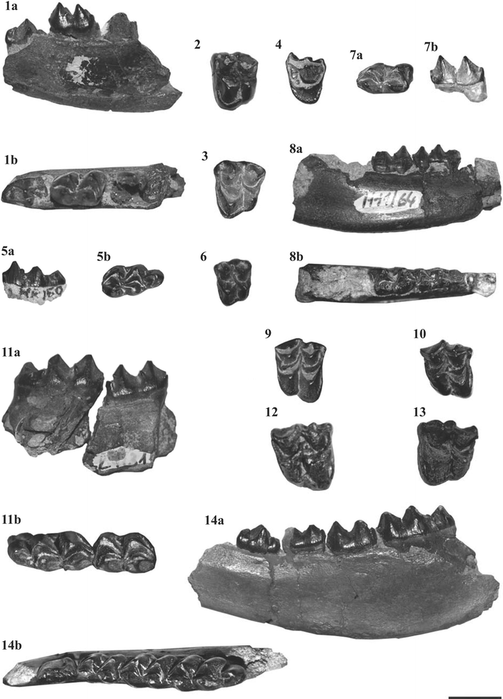 Fig. 6