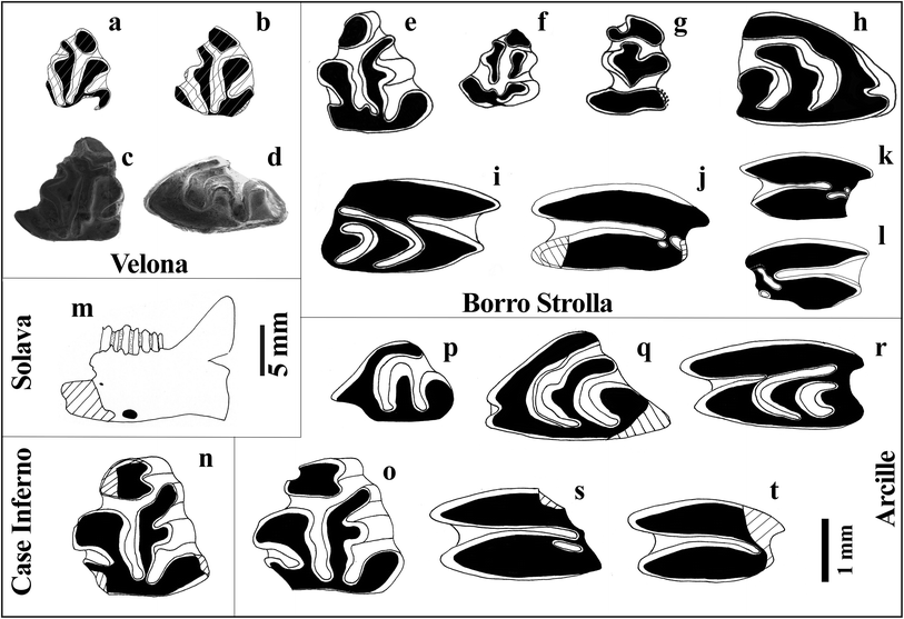 Fig. 3