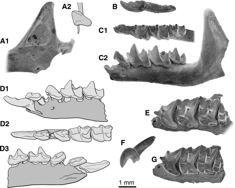 Fig. 3