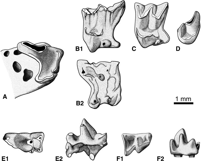 Fig. 8