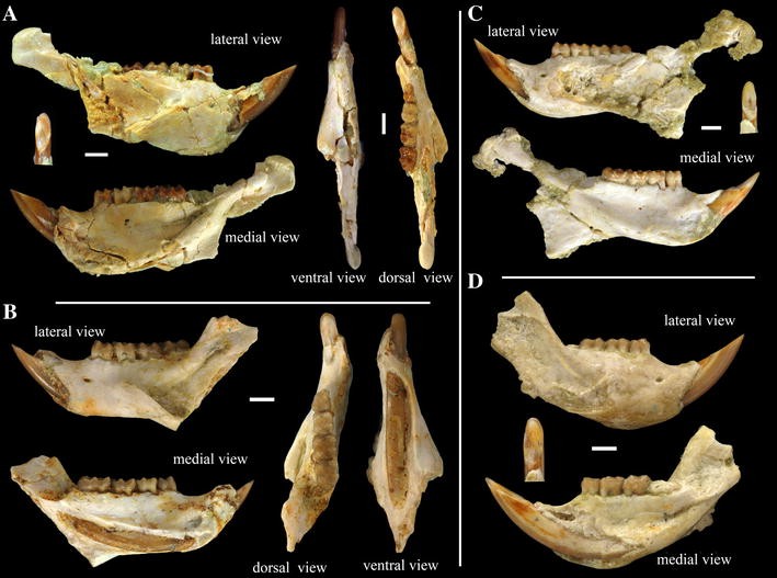 Fig. 8